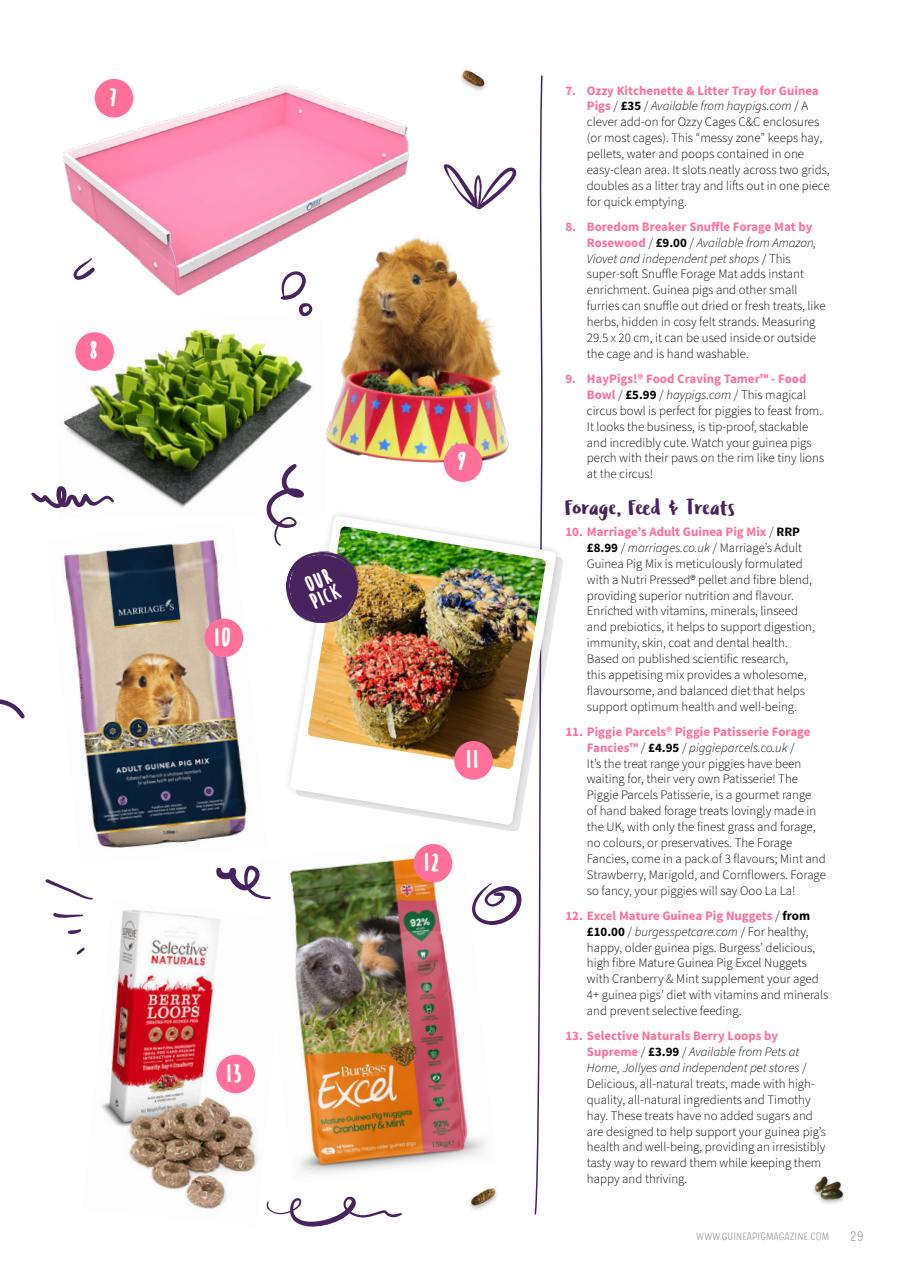 Guinea Pig Magazine Preview Pages