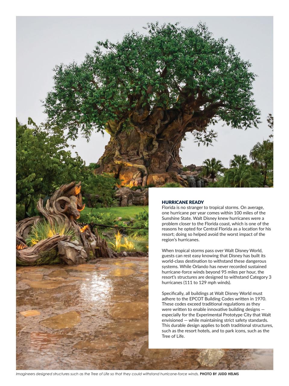 WDW Magazine Preview Pages