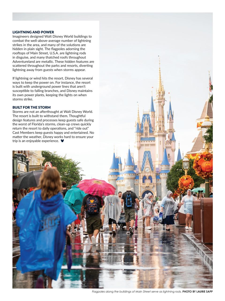WDW Magazine Preview Pages