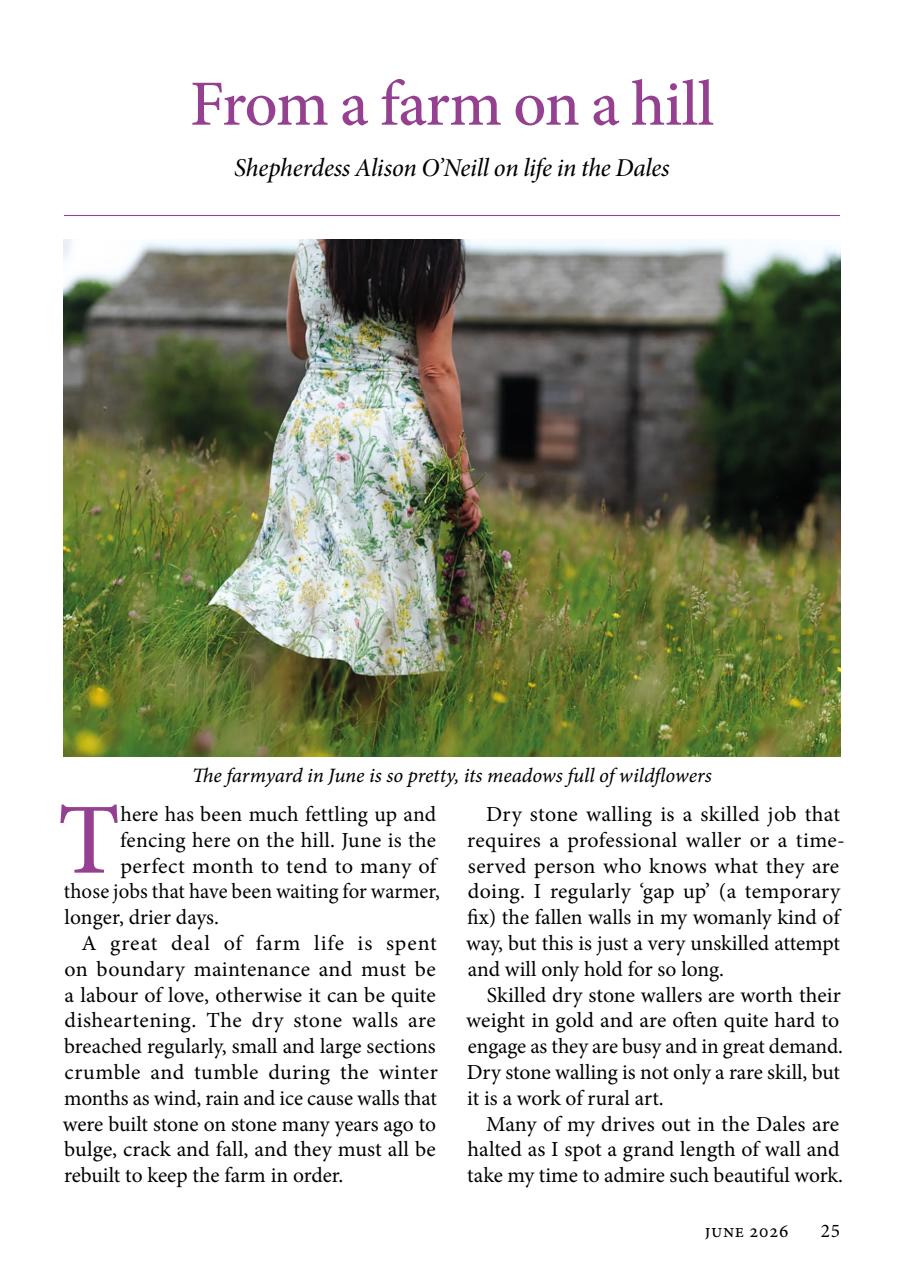 The Yorkshire Dalesman Preview Pages