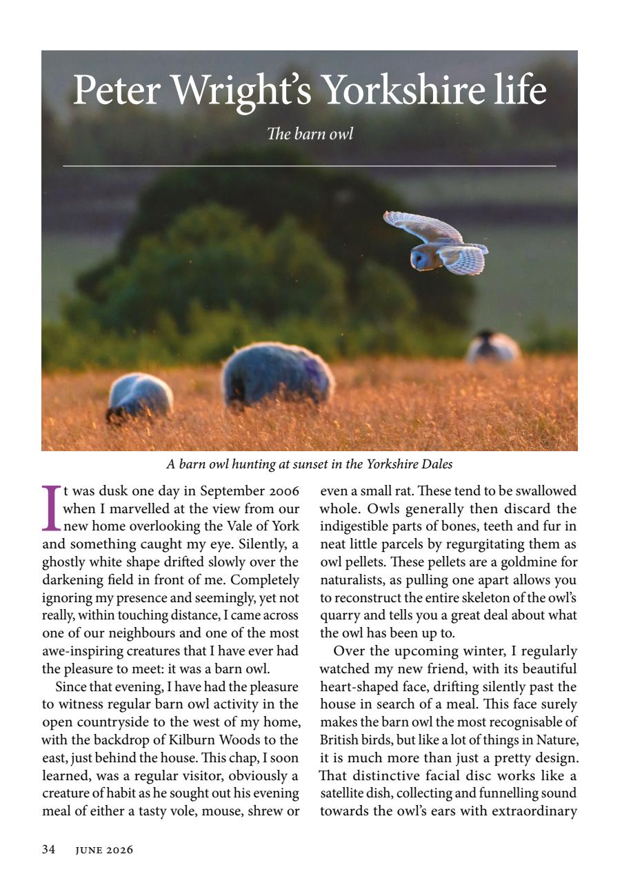 The Yorkshire Dalesman Preview Pages