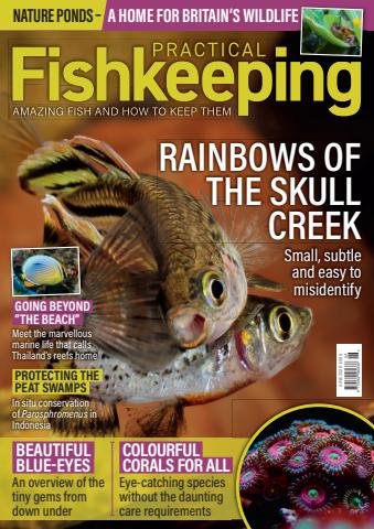 Practical Fishkeeping issue June 2026