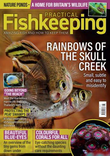 Practical Fishkeeping issue 