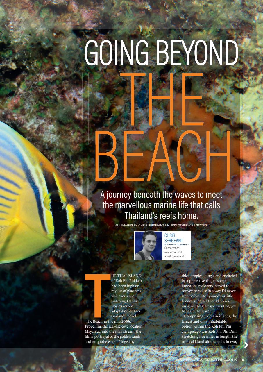 Practical Fishkeeping Preview Pages