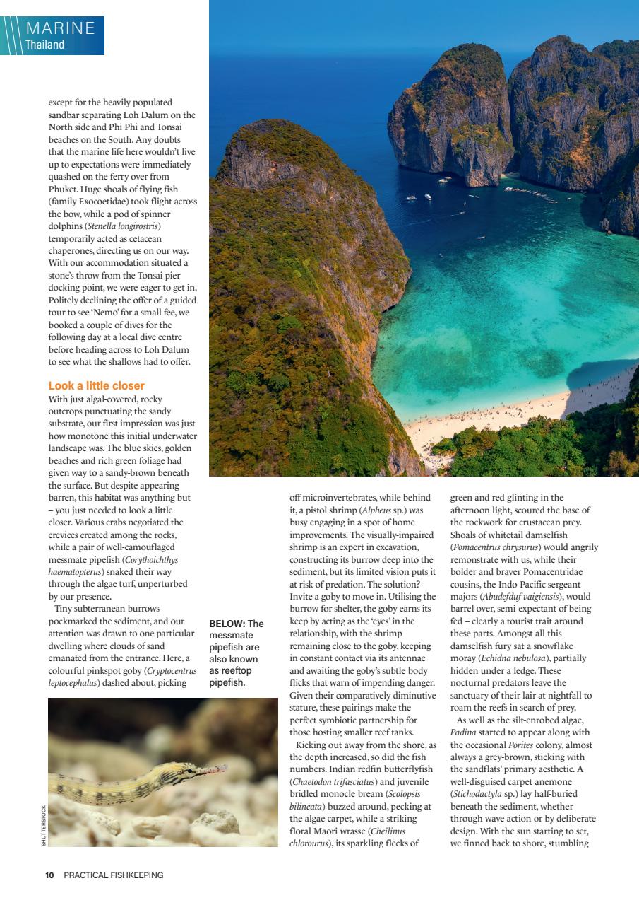Practical Fishkeeping Preview Pages