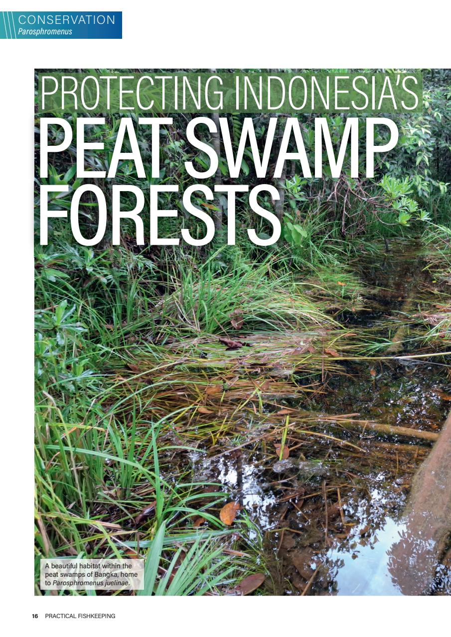 Practical Fishkeeping Preview Pages