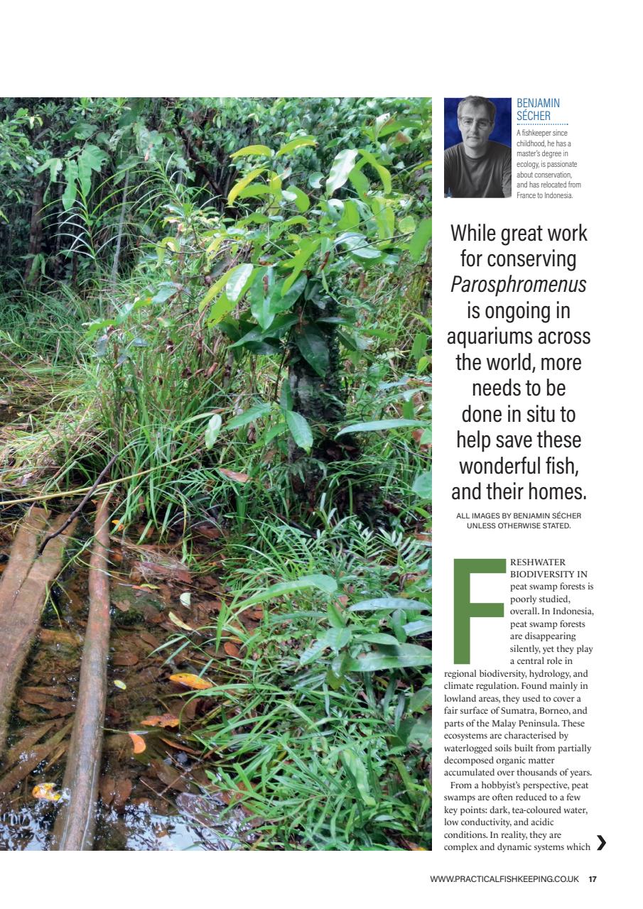 Practical Fishkeeping Preview Pages