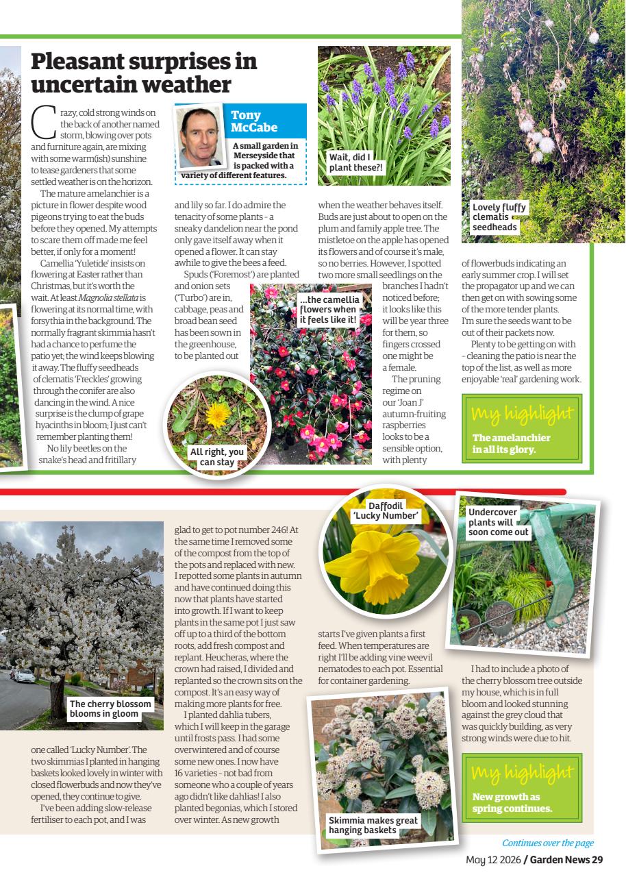 Garden News Preview Pages