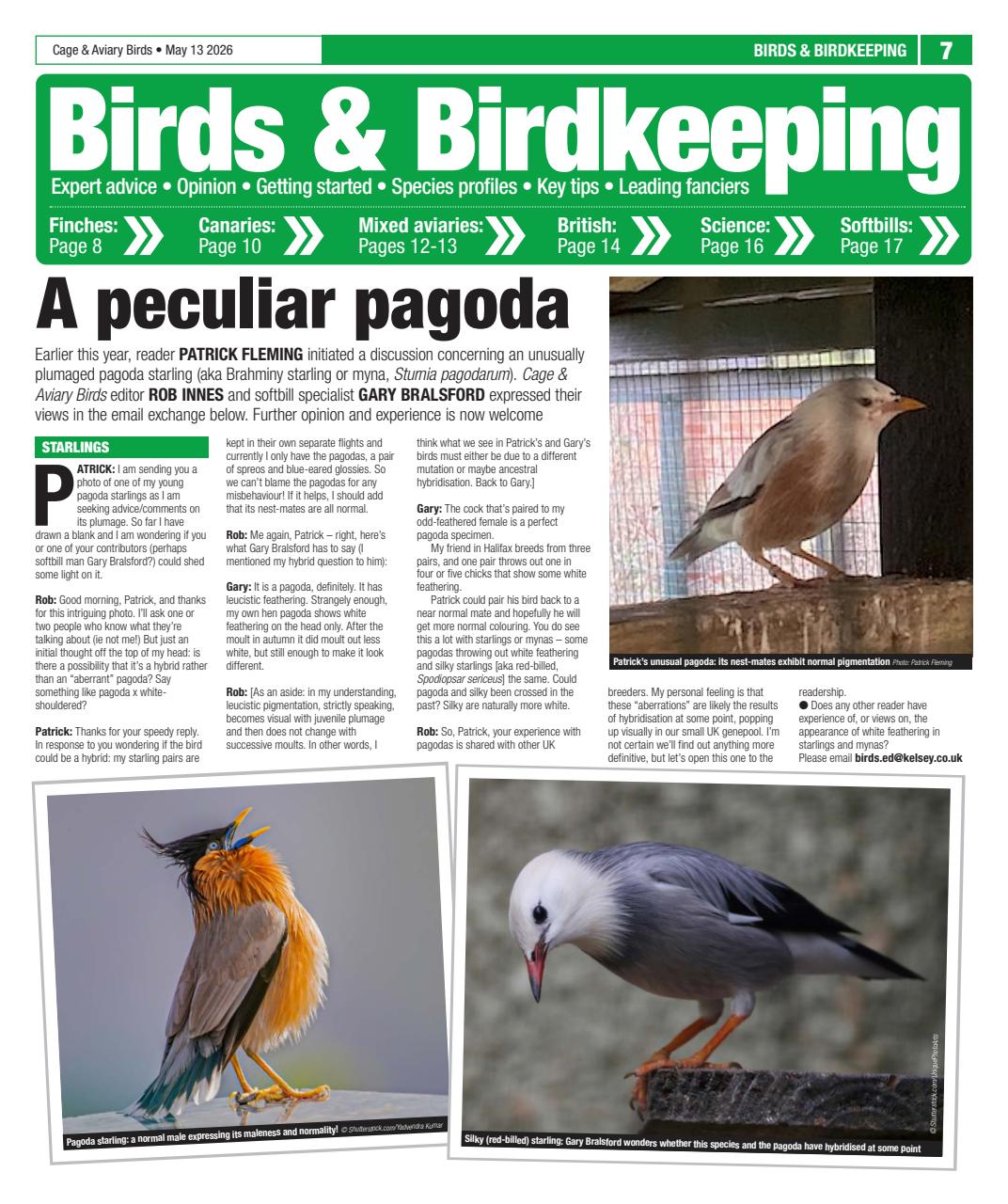 Cage & Aviary Birds Preview Pages