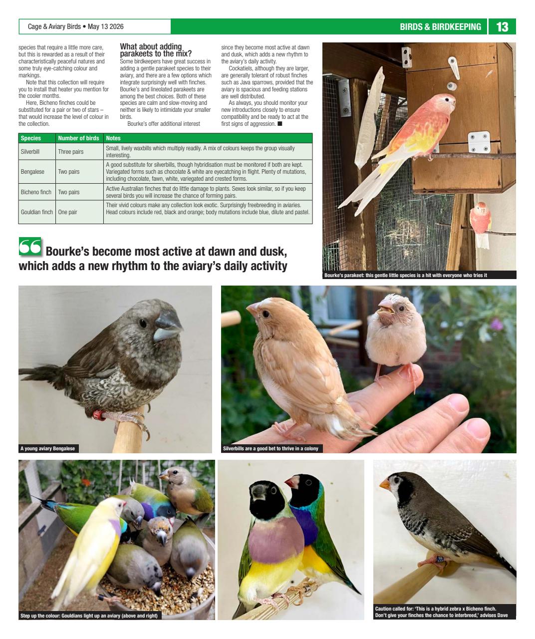Cage & Aviary Birds Preview Pages