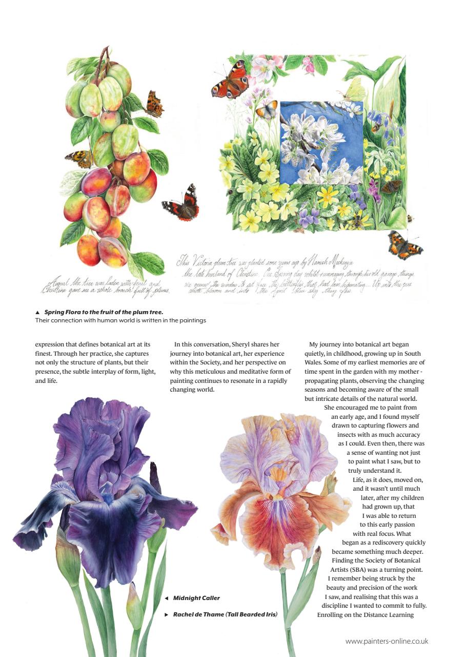 The Artist Preview Pages