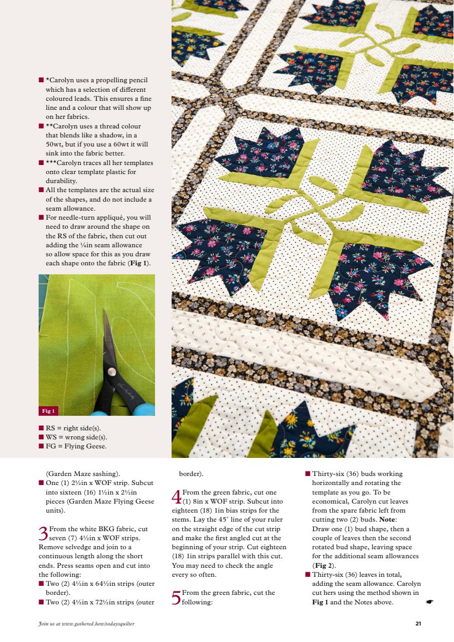 Today’s Quilter Preview Pages