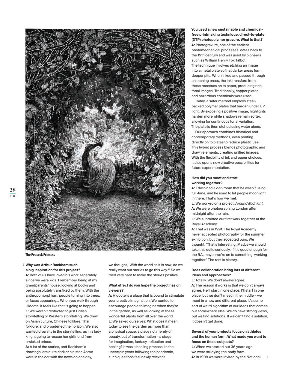 Black+White Photography Preview Pages