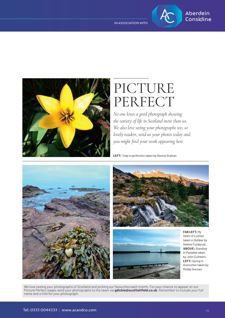 Scottish Field Preview Pages