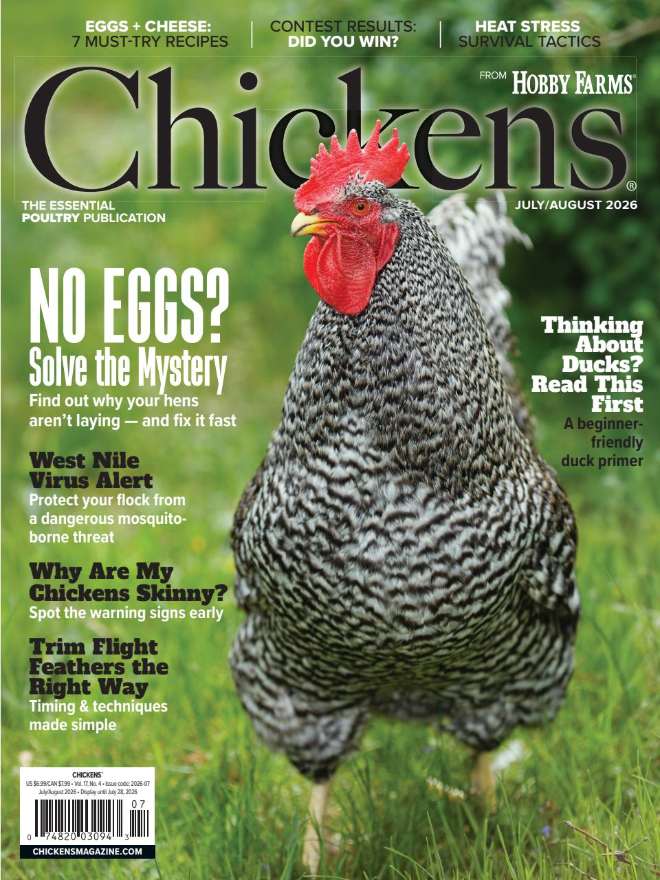 Chickens Magazine Preview Pages