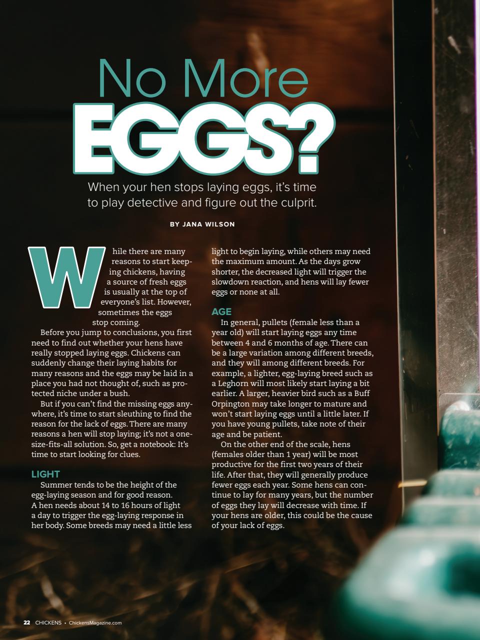 Chickens Magazine Preview Pages