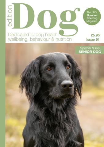 Edition Dog issue Edition Dog 91