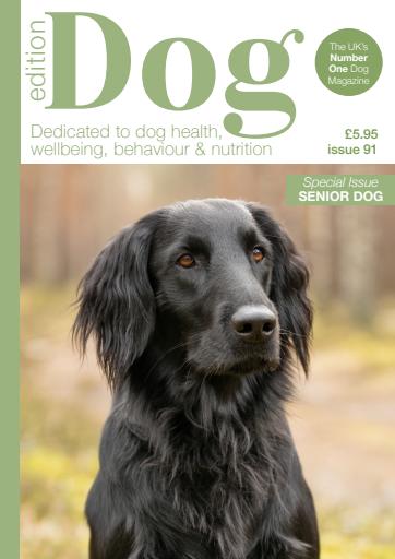 Edition Dog issue 