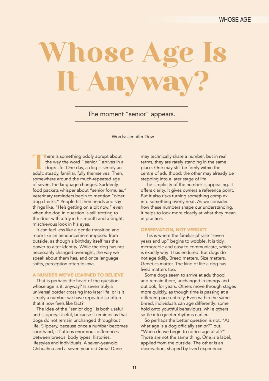 Edition Dog Preview Pages
