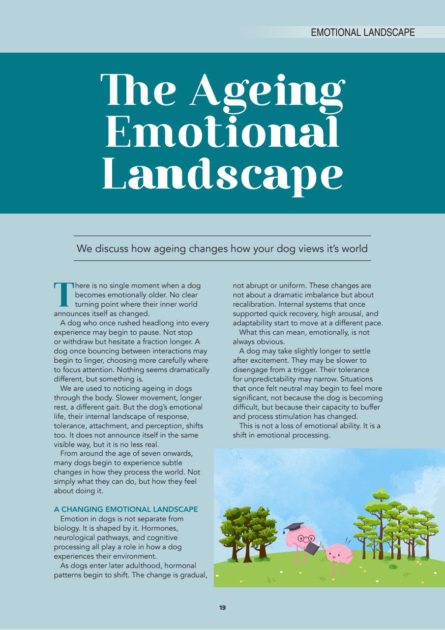 Edition Dog Preview Pages