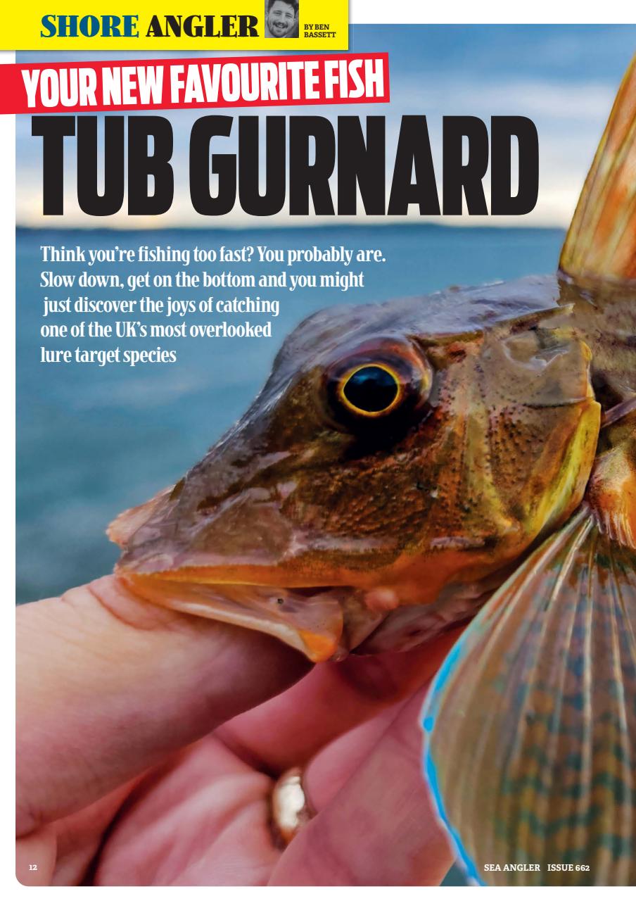 Sea Angler Preview Pages