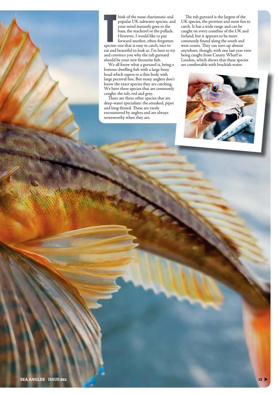 Sea Angler Preview Pages