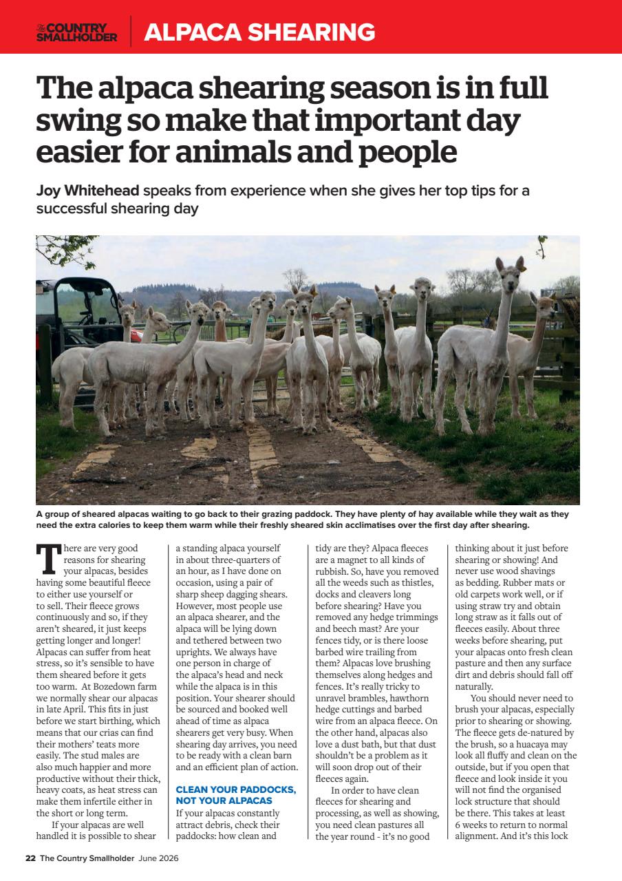 The Country Smallholder Preview Pages