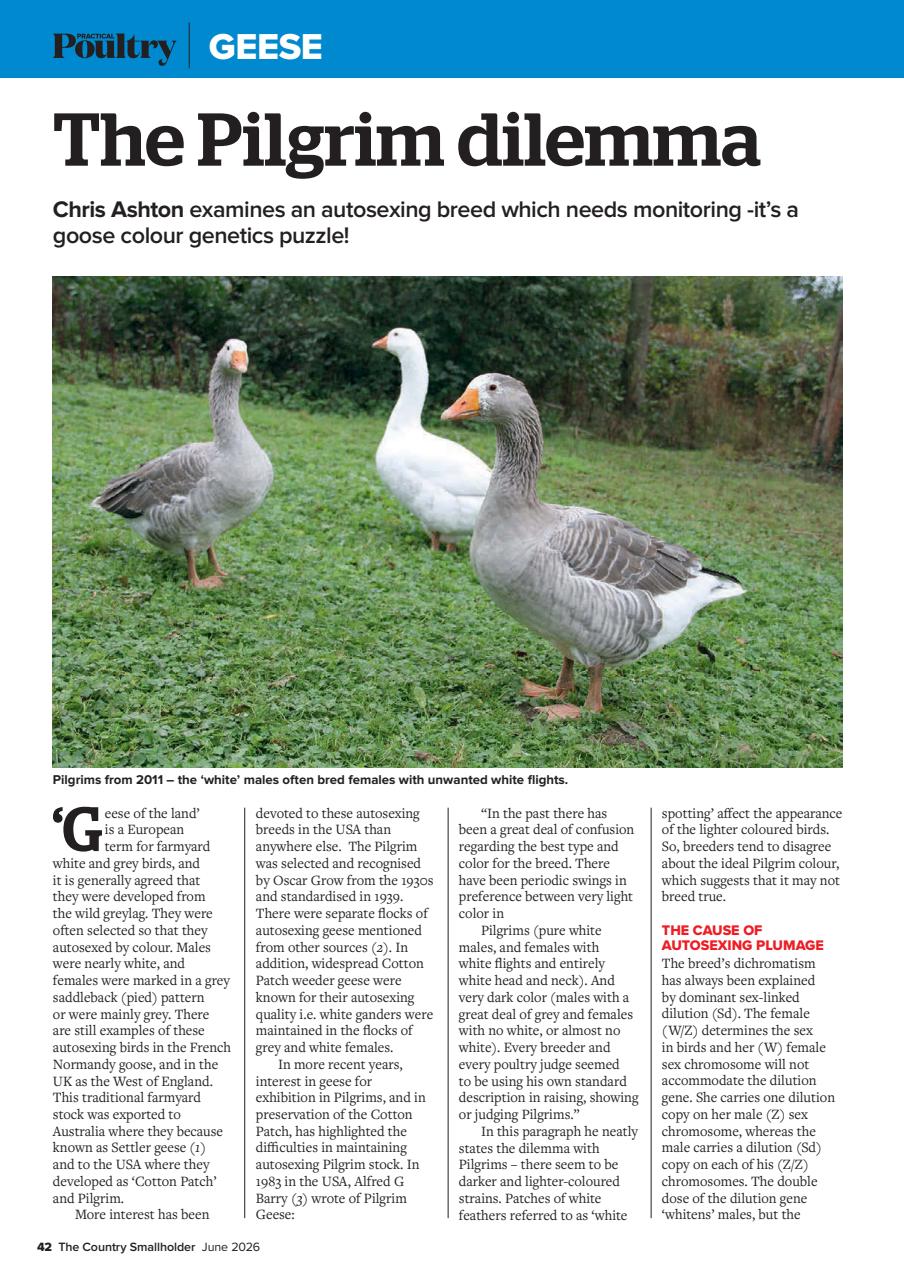 The Country Smallholder Preview Pages