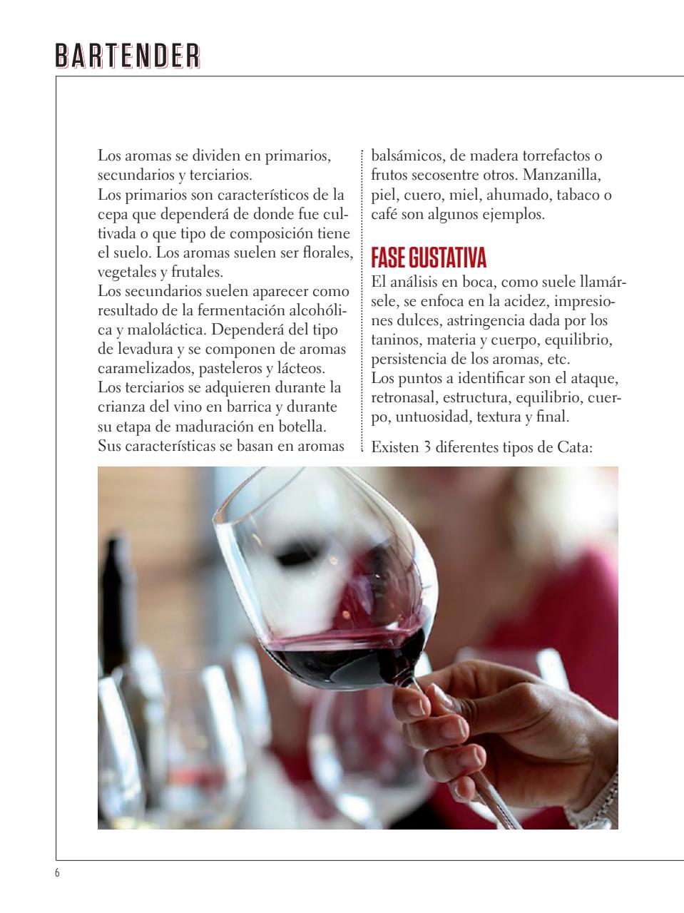 Curso de Bartender Preview Pages