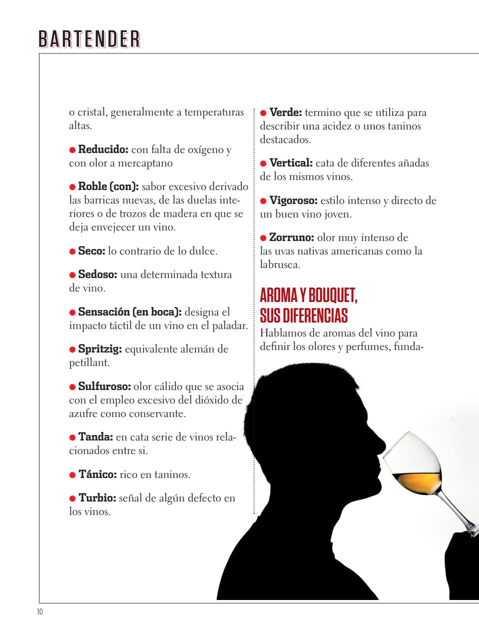 Curso de Bartender Preview Pages