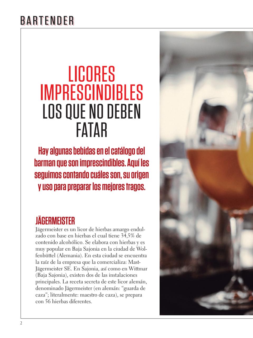 Curso de Bartender Preview Pages
