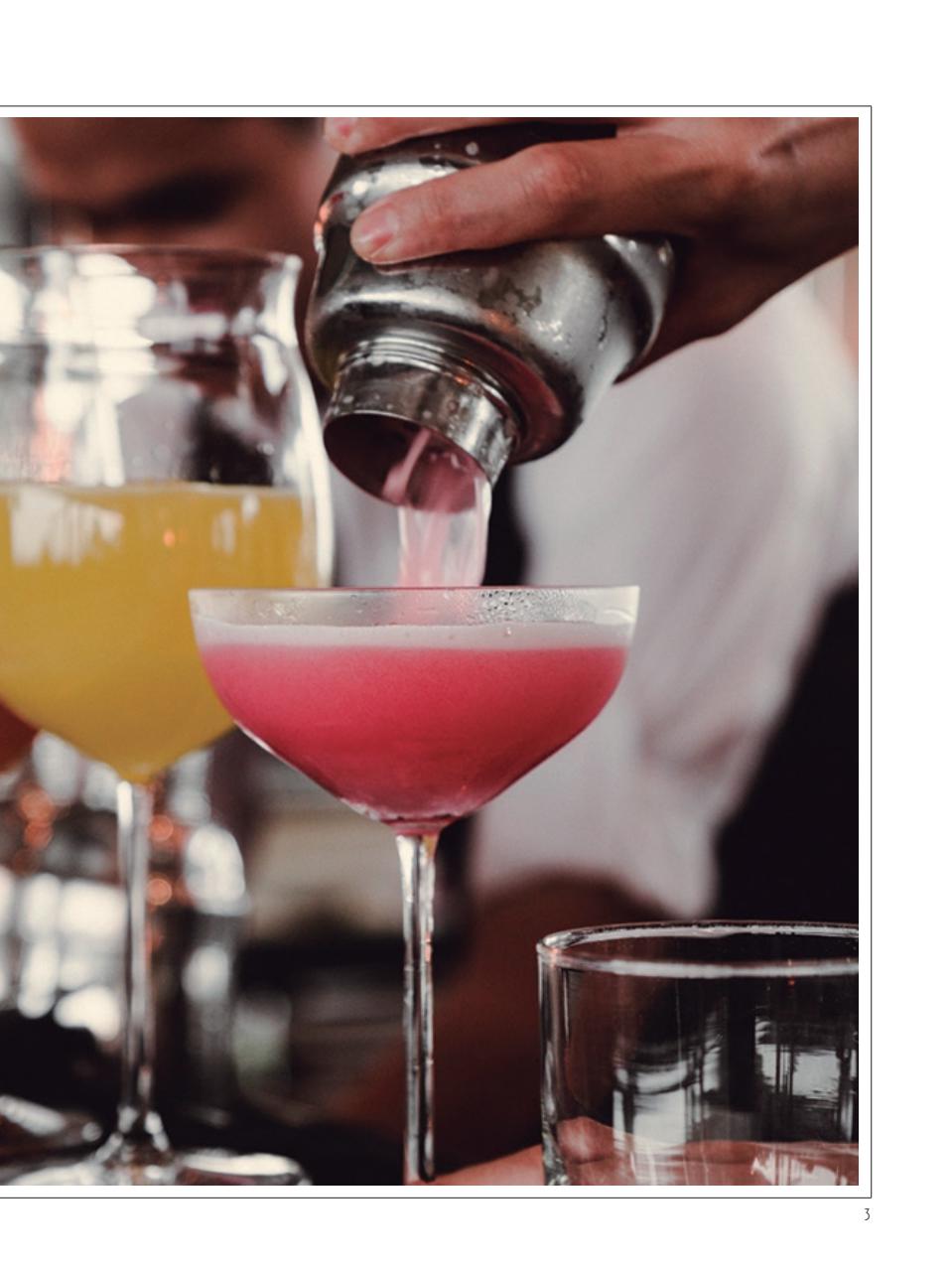 Curso de Bartender Preview Pages