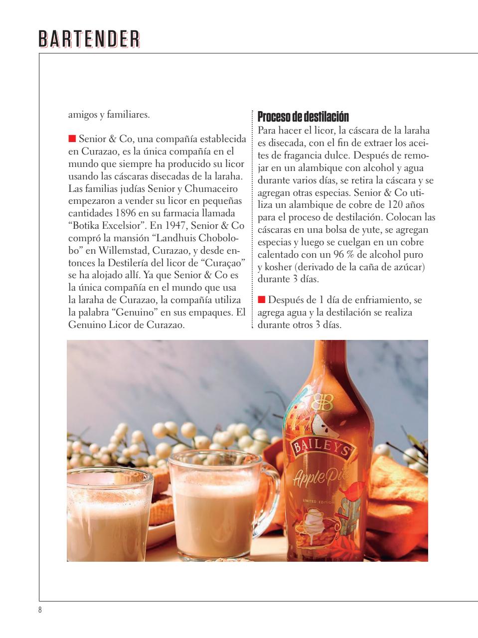 Curso de Bartender Preview Pages