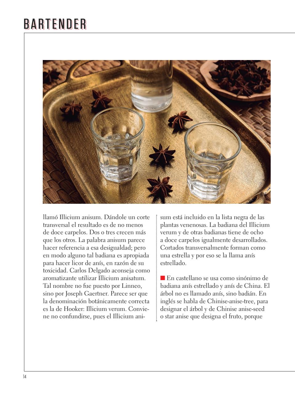 Curso de Bartender Preview Pages