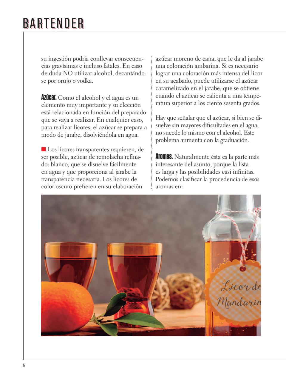 Curso de Bartender Preview Pages