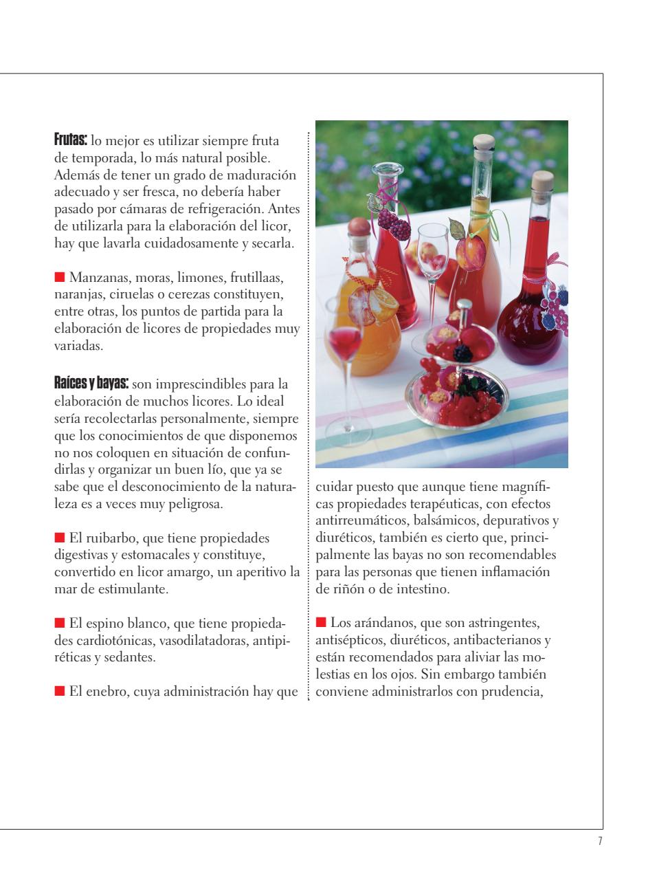 Curso de Bartender Preview Pages