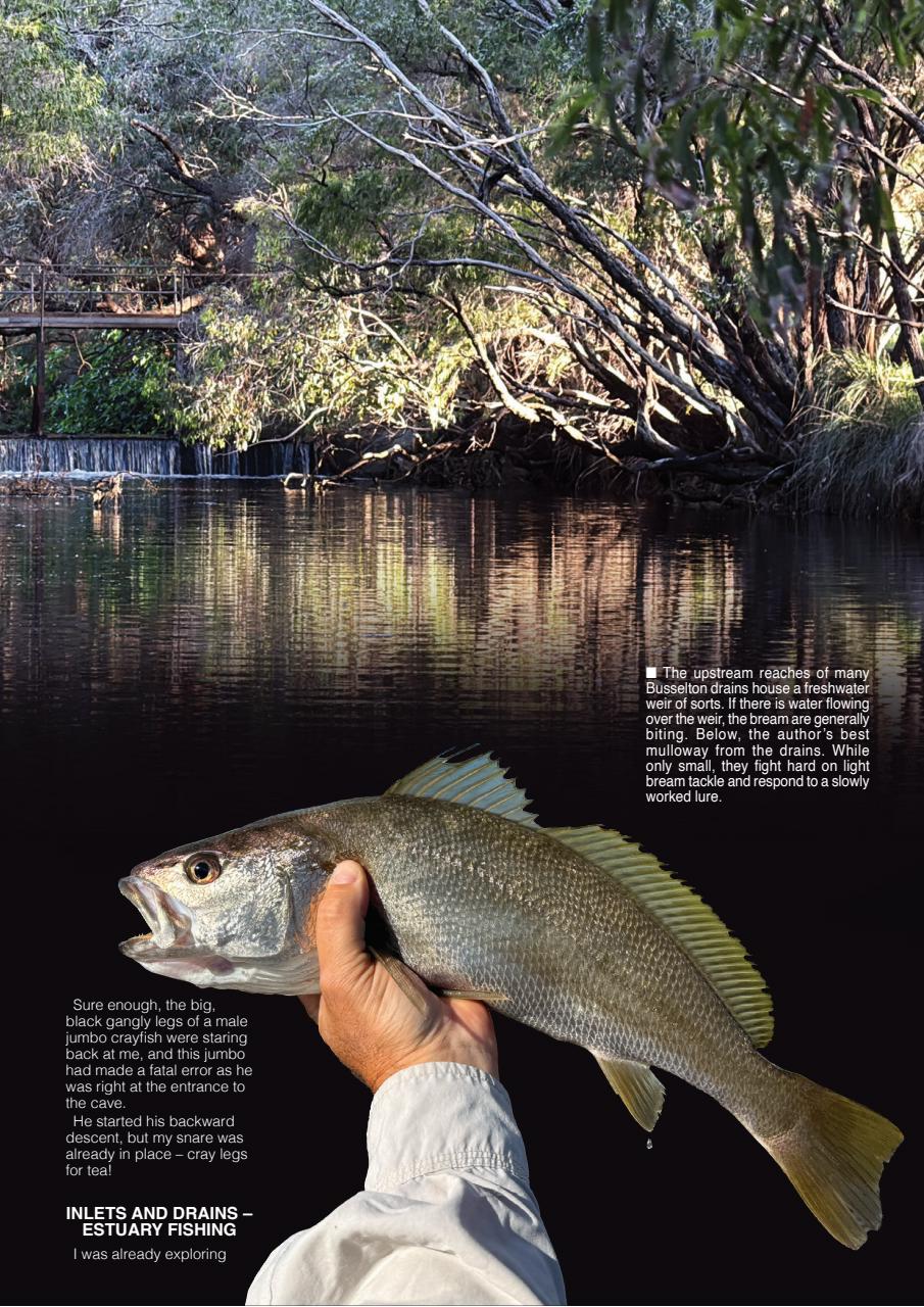 Western Angler Preview Pages