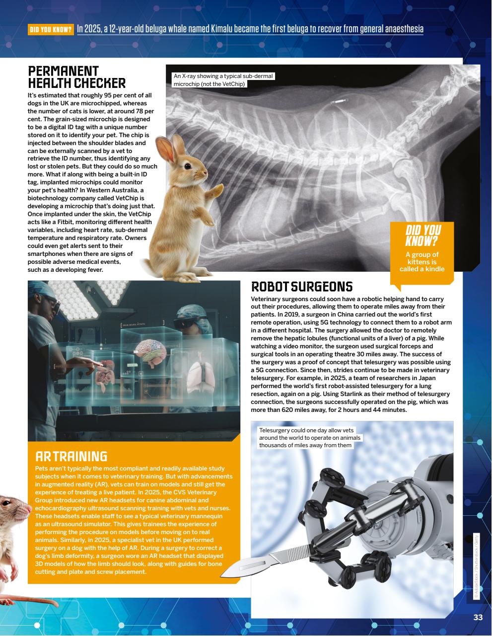 How It Works Preview Pages