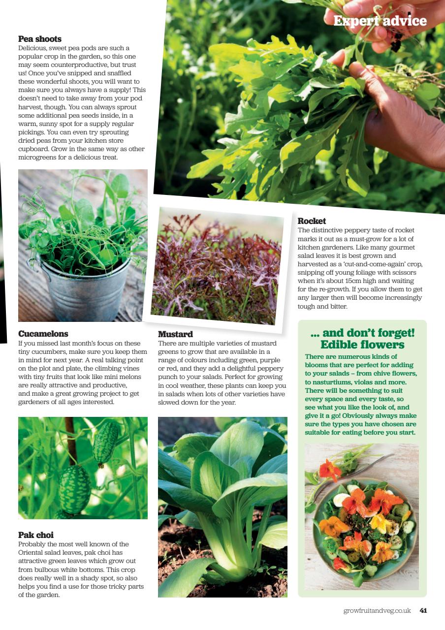 Grow Your Own Preview Pages