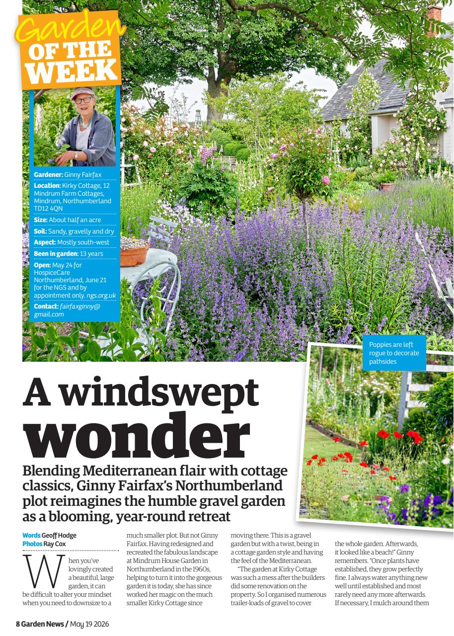 Garden News Preview Pages