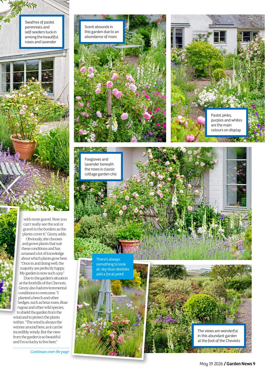 Garden News Preview Pages