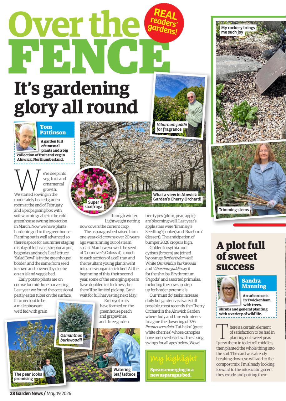Garden News Preview Pages
