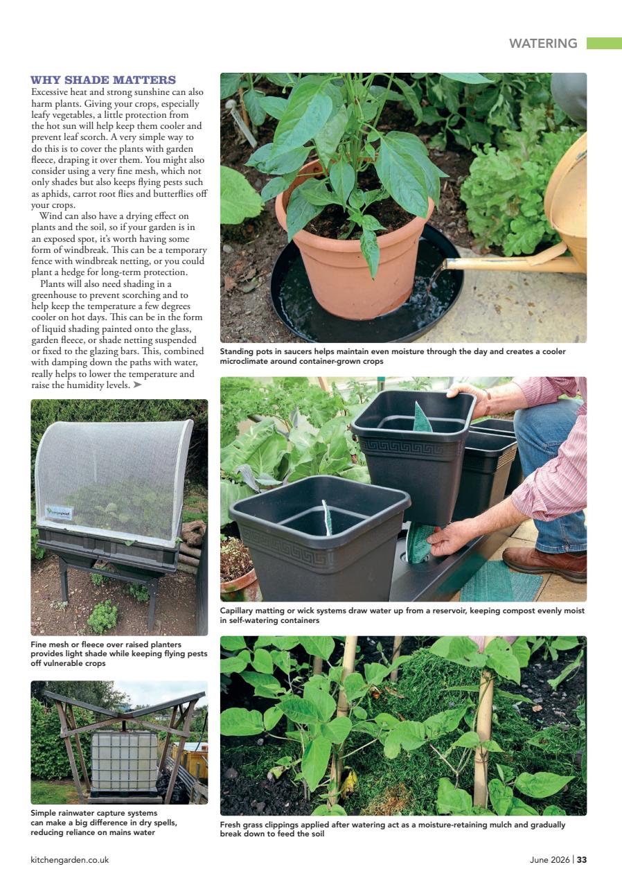 Kitchen Garden Magazine Preview Pages
