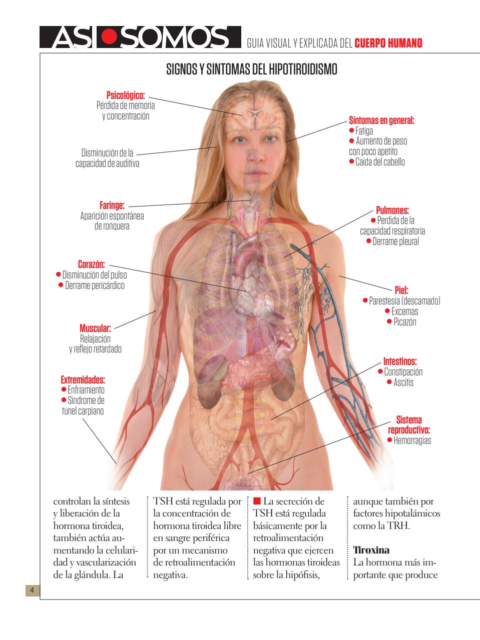 Asi Somos - el Cuerpo Humano  Preview Pages