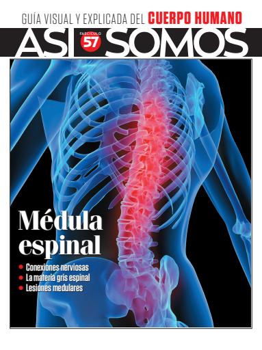 Asi Somos - el Cuerpo Humano  issue 