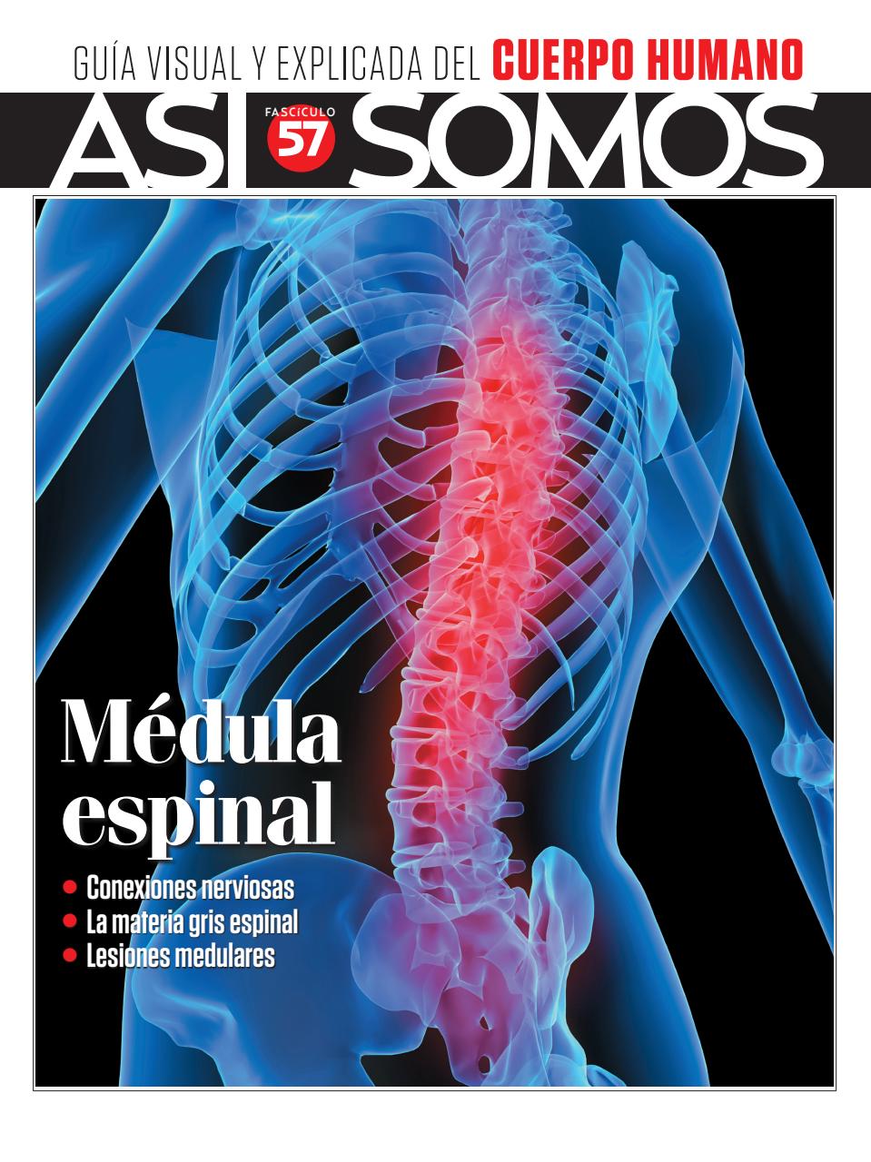 Asi Somos - el Cuerpo Humano  Preview Pages