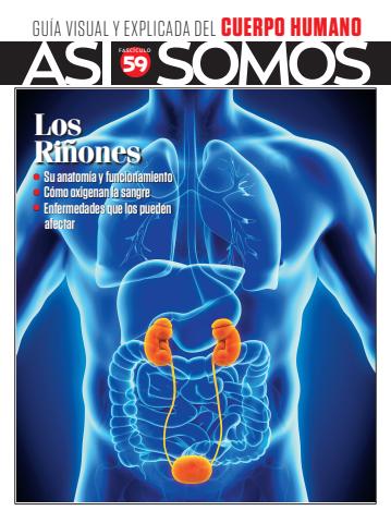 Asi Somos - el Cuerpo Humano  issue Fasciculo 59