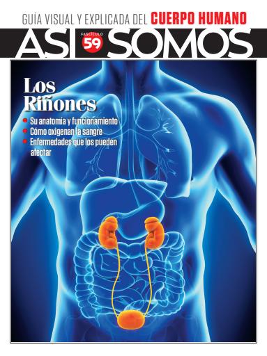 Asi Somos - el Cuerpo Humano  issue 