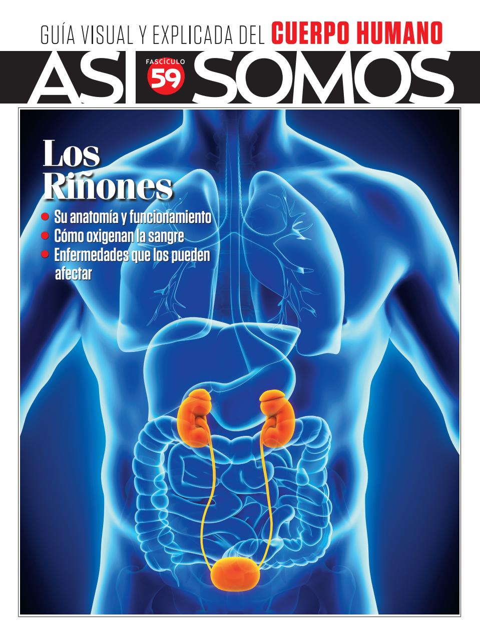 Asi Somos - el Cuerpo Humano  Preview Pages