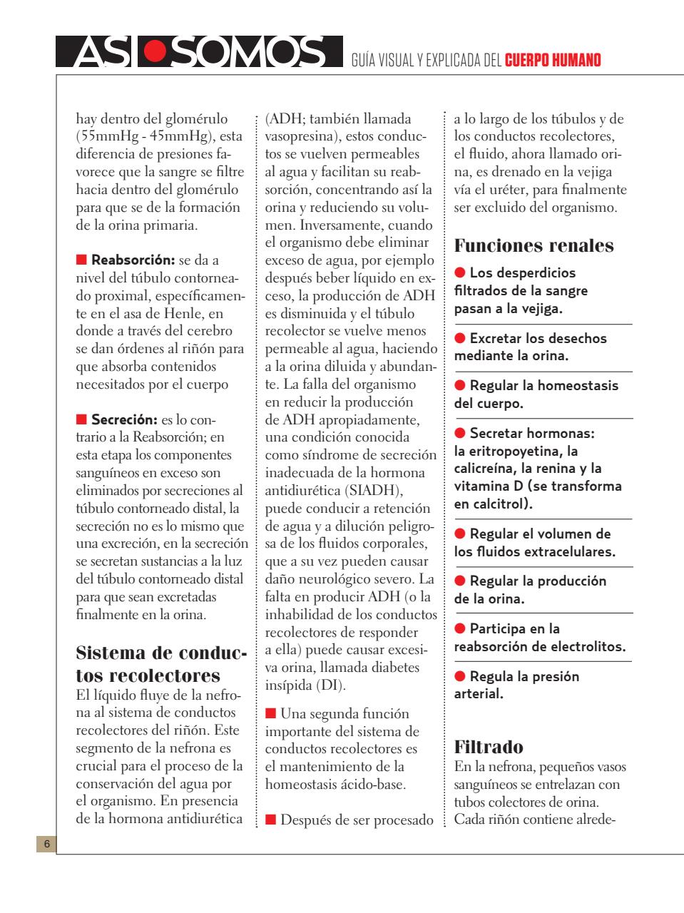 Asi Somos - el Cuerpo Humano  Preview Pages